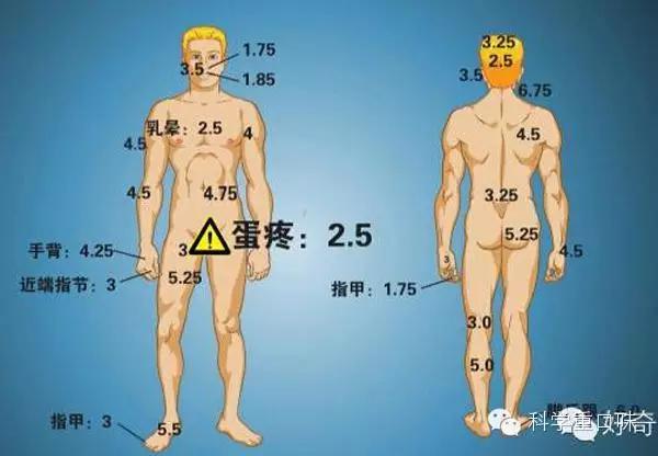「蛋疼」到底有多疼？