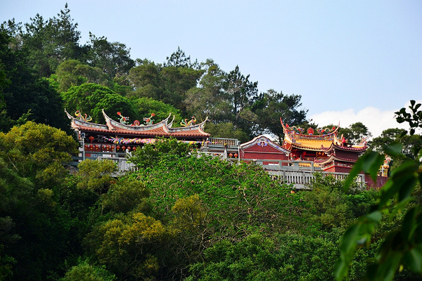 对话海丝:泉州九日山最萌的风景-延福寺小沙弥