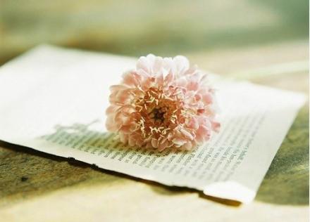 温暖向阳,安之若素