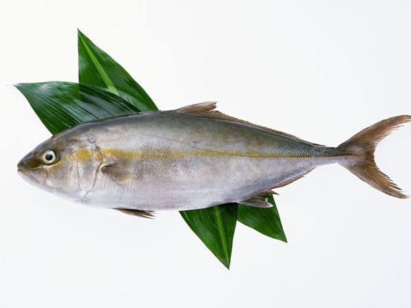 鱼因品种不同,本身就存在金枪鱼这样的红肉鱼和带鱼这样的白肉