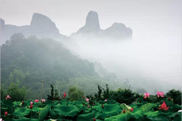 烟雨江南,不能再错过的美景-自由购商城