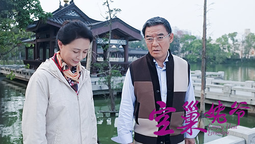 刘佳,杜宁林,张海燕,领衔主演,聚焦老年生活的家庭情感话题剧《空巢