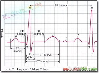 【热门】正常心电图波形特点