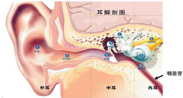 中耳炎孩子媽媽的絕望與驚喜