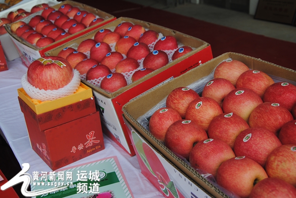 运城苹果代表中国鲜苹果首发美国市场