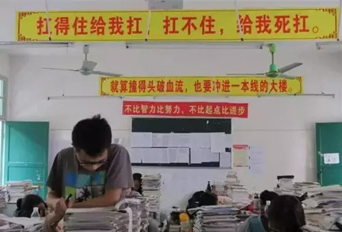 各路雷人标语大盘点!