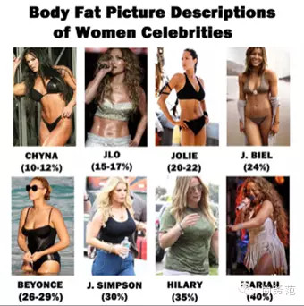 26 体 女性 率 脂肪