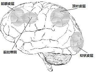 心理学2016考研专业课认知心理学：一般知识组织