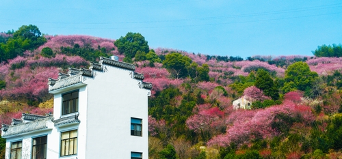 ɽСѧٰ조ɽ 족Ӱ