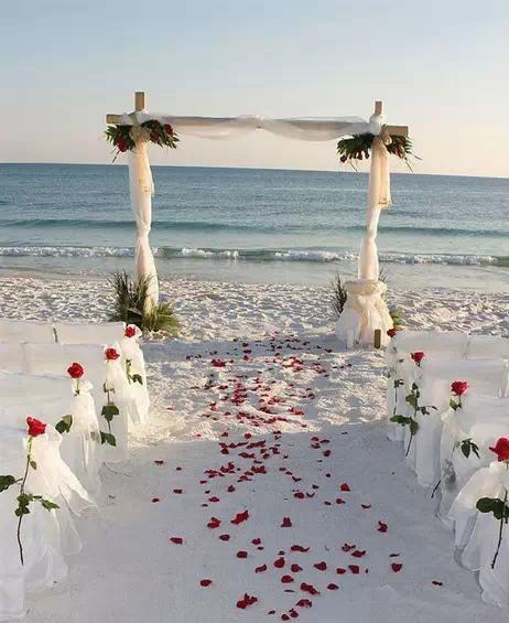 海滩婚礼攻略大全 爱上海边的浪漫