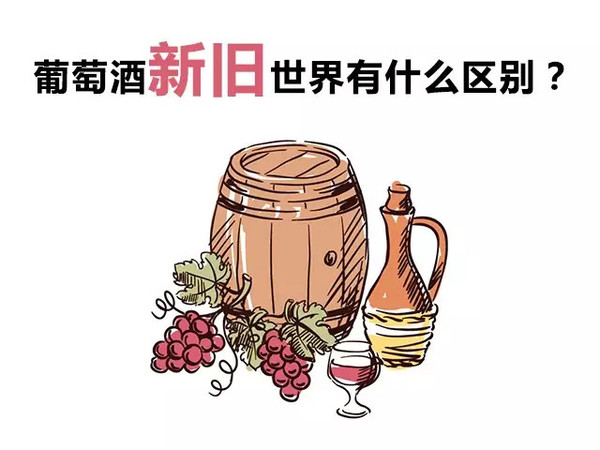 新旧世界的葡萄酒有什么区别?