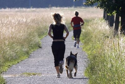 教你怎么摆脱跑步遇到狗?