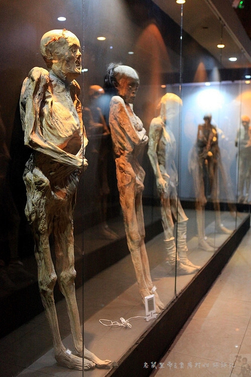 墨西哥:世界上最恐怖的人尸博物馆