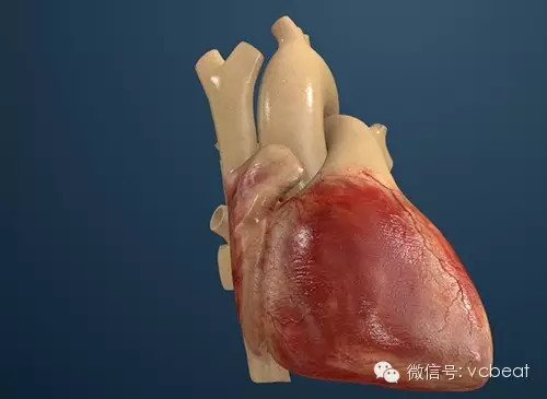 自从有了3D打印心脏,外科医生们便可开始模拟