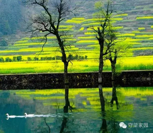 㻦Щʫ黭ĹŴ