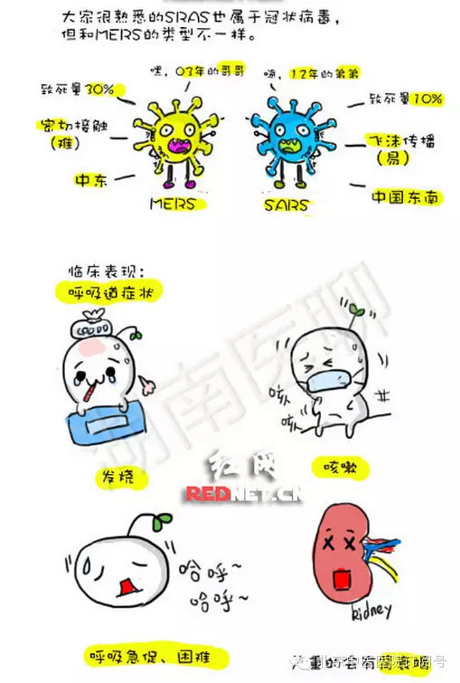 【医学科普】漫画MERS病毒 1分钟让你了解