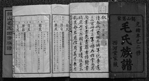 寻根 源远流长的家谱故事(组图)