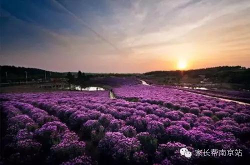 【旅游】六月南京十大最美景点,周末带上娃走