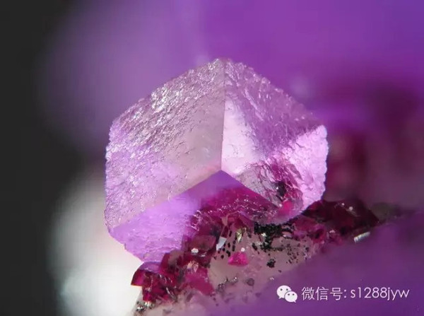 图片版权归原作者所有