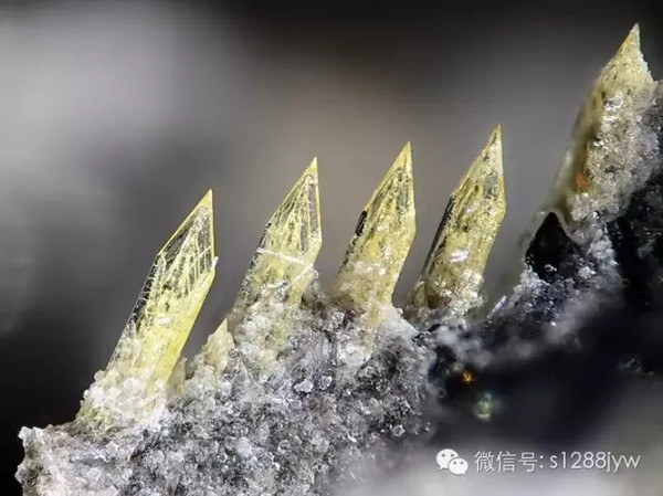 图片版权归原作者所有