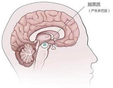 如何有效预防帕金森病