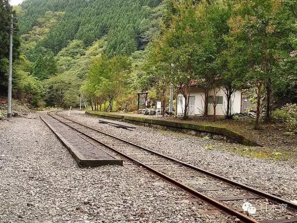 青岛并村人口_青岛各区人口