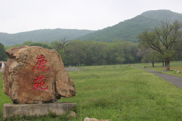 云雾缭绕的平山神鹿风景区,远看人间仙境,田园风格,满山的翠绿,让人