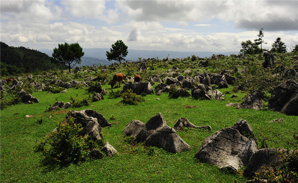 石柱千野草场