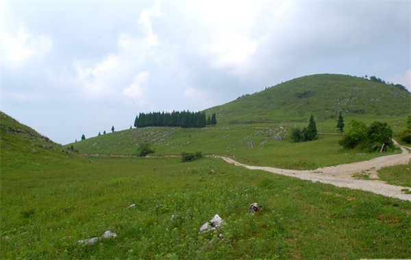 云阳龙缸岐山草场