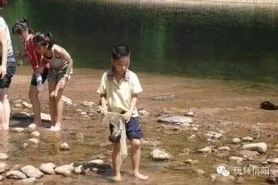 信阳的小伙伴,还记得你小时候的夏天吗?