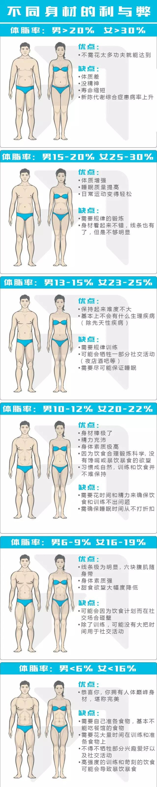 体脂率女性对照图图片大全 Uc今日头条新闻网