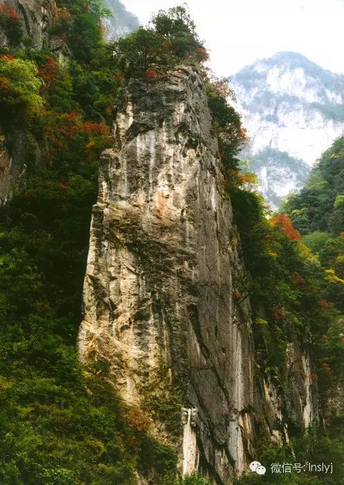 ʡξȼֳ֯ר,