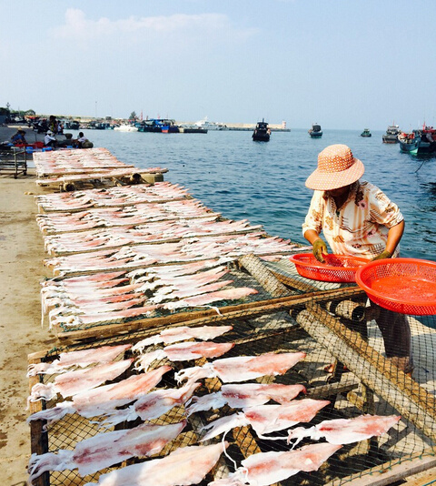 广东吃海鲜最好的10个海滩