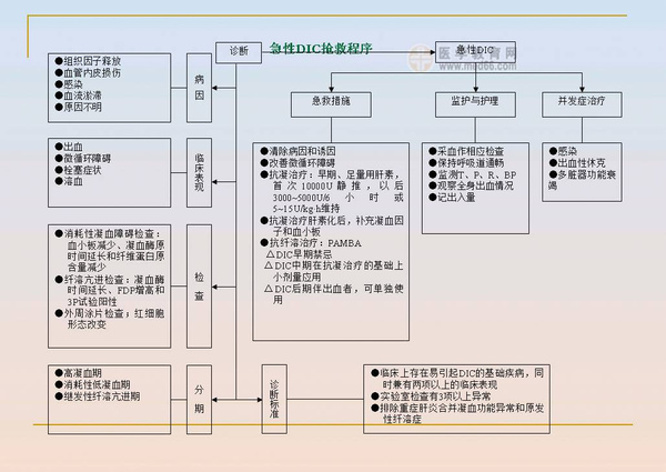 医院29种各科急救流程图(最新)