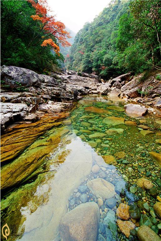 龙归源景区是武夷山大安源风景区的一部分,地处武夷山国家级自然保护