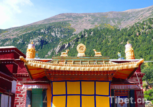 西藏走进千年古寺热振寺