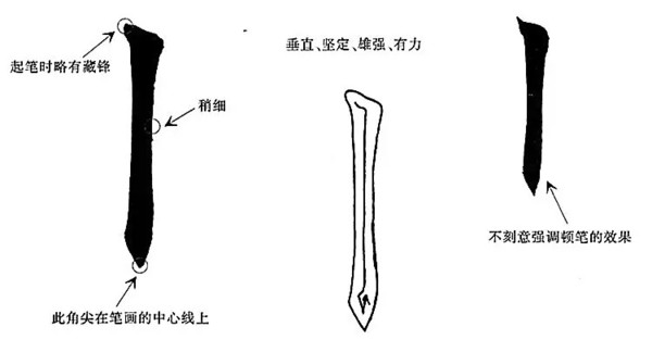 2,左垂露竖:一般多用在字的左部.