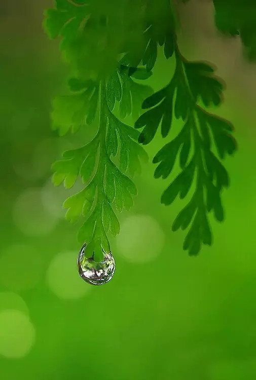 桃花渡洞箫简谱_洞箫简谱