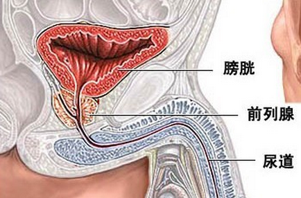 上海结石病医院端午不放假专家陪您过端午,尿