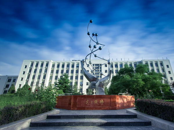 2015年北京化工大学软件工程考研分数线