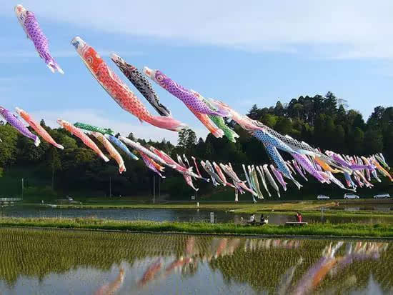 中国端午节日本男孩节2