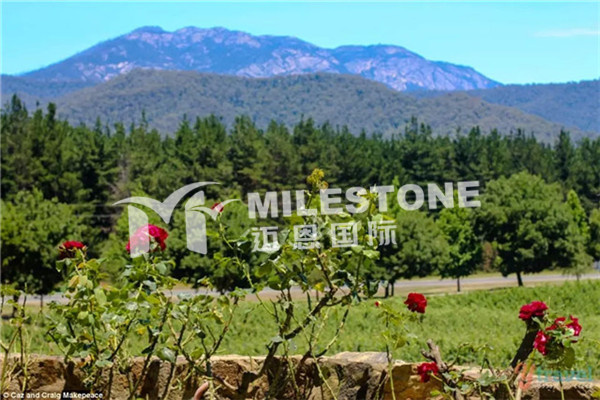 2015年10个澳洲必去的地方-搜狐