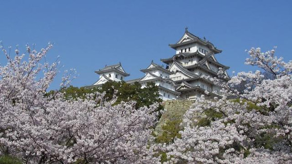世界上最美的古建筑在日本?