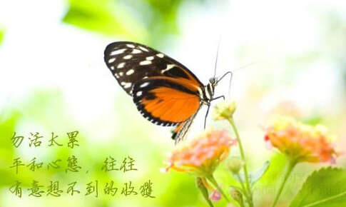 教育小孩子,从小养到一个平和的心态,自我约束能力比较强,干什么事不