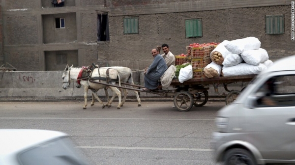 驴车满公路跑