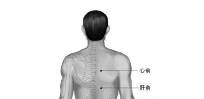 2.志室 从腰部凹陷到脊柱突起位置距离7厘米左右的外侧.