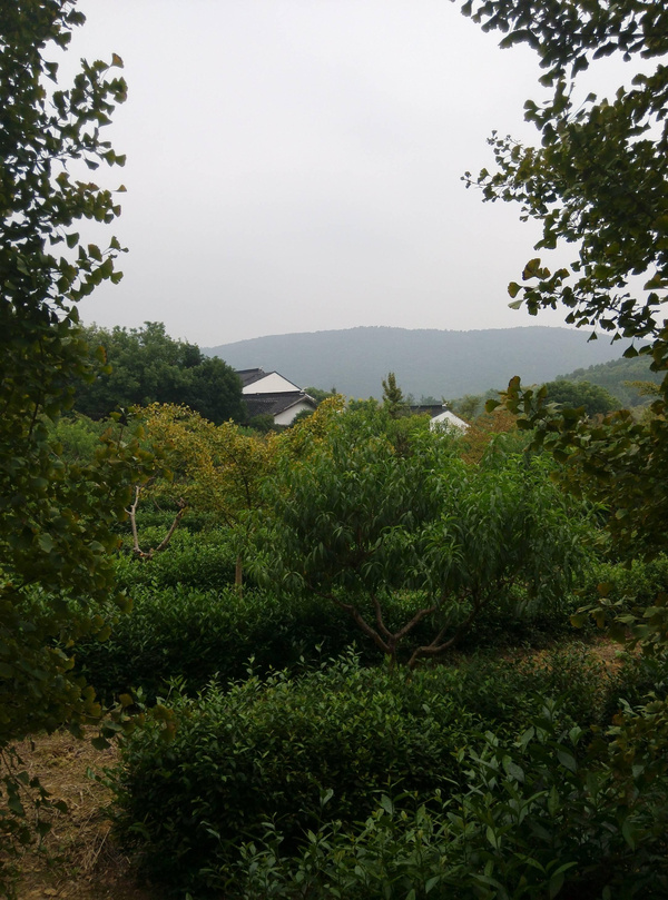 苏州旺山村人口预测_苏州旺山村图片(3)