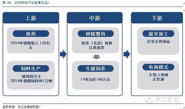 中国生猪产业链趋势必读报告未来两年猪价将引爆