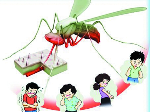深圳首发登革热指数 端午南方游要当心(图)