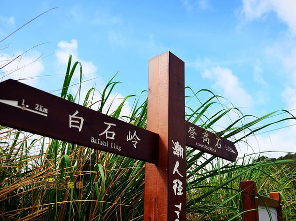 新田园海鲜_海门港再掀金秋旅游新高潮海陆空好戏连台